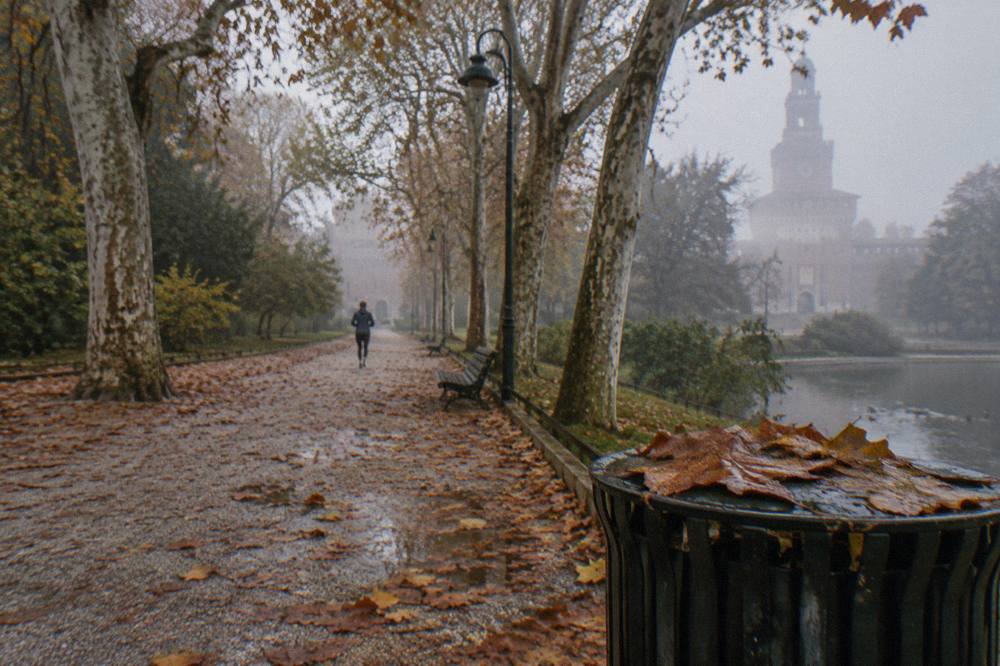 Tree-lined gravel path through a large city park with a stone tower visible among the trees