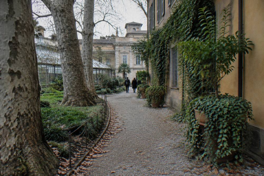 Narrow cobbled lane in Brera with warm ochre walls and hanging plants