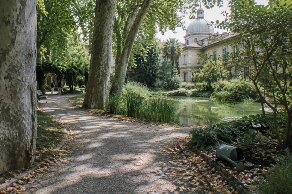 Shaded green path in a botanical garden with mature trees and a small pond