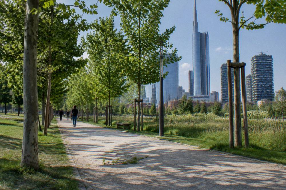 Tree-lined path through the Biblioteca degli Alberi park with city towers behind the trees